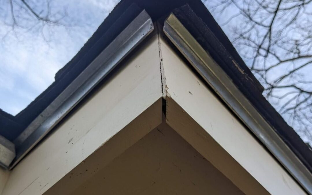 How to Tell When You Need to Replace Your Fascia Wood: A Comprehensive Guide from Tiger Gutters in Memphis, Tennessee