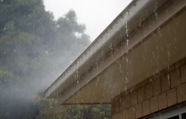 When to Replace Your Gutters: Signs You Shouldn’t Ignore | Tiger Gutters, Memphis TN