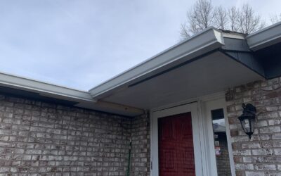 Why you should hire a professional to clean your gutters