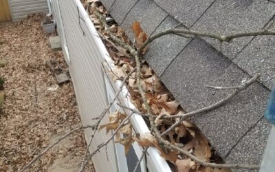 Ultimate Guide: How to Properly Maintain Your Gutters – Expert Tips from Tiger Gutters in Memphis, Tennessee
