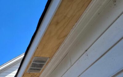 Tiger Gutters in Memphis, Tennessee: Expert Solutions for Wood Soffit Repair and Replacement