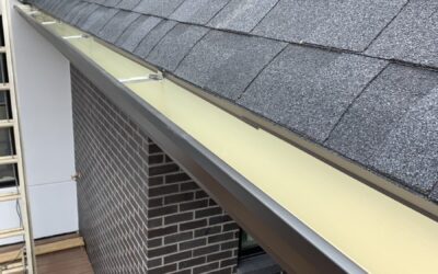Enhancing Home Aesthetics with Seamless Gutters: Insights from Tiger Gutters in Memphis, TN